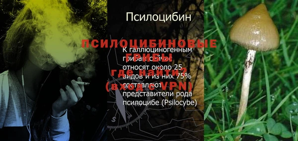 a pvp Ладушкин