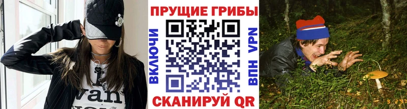 Купить где  Юрьевец  Псилоцибиновые грибы Cubensis 